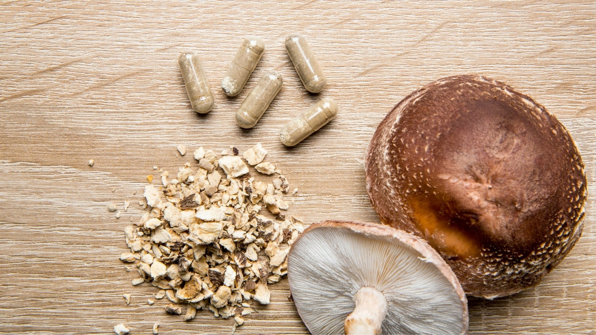 What To Look For When Buying Mushroom Supplements – Mush More Co