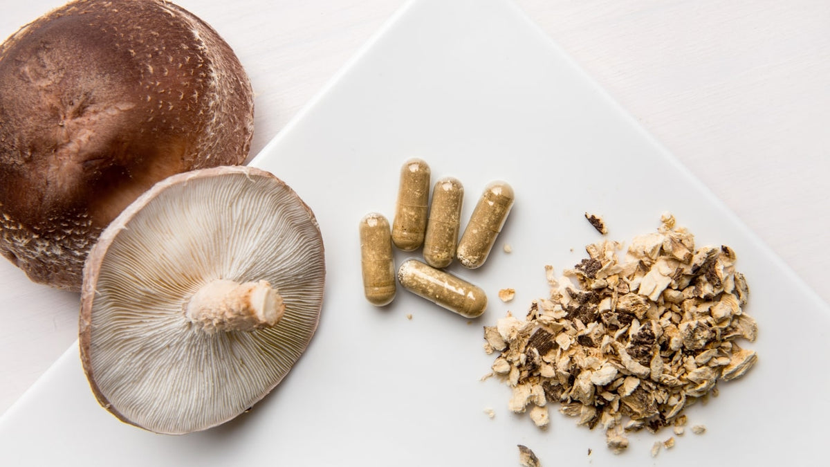 Do Mushroom Supplements Actually Work? Mush More Co