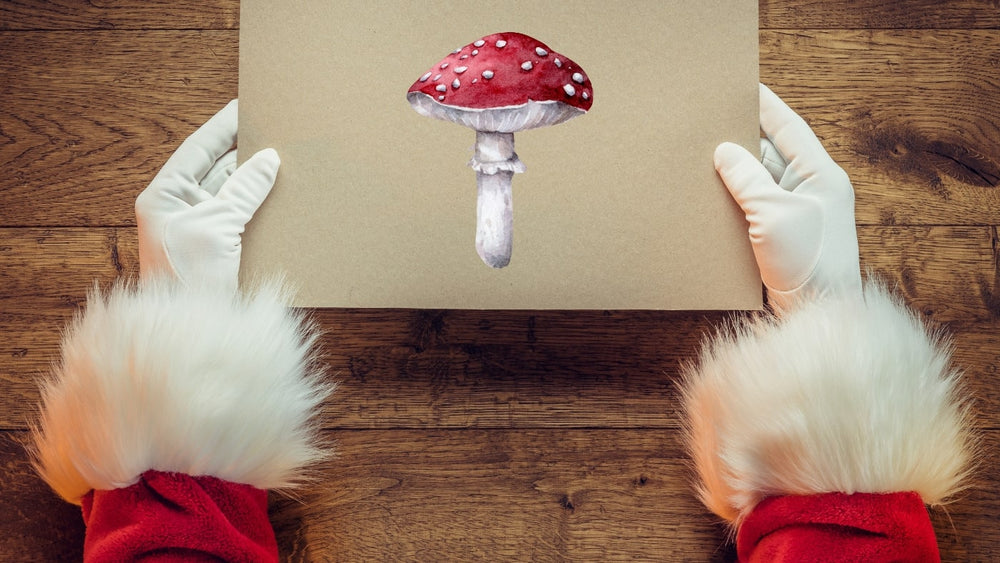 The Origin of Christmas - Inspired by Mushrooms