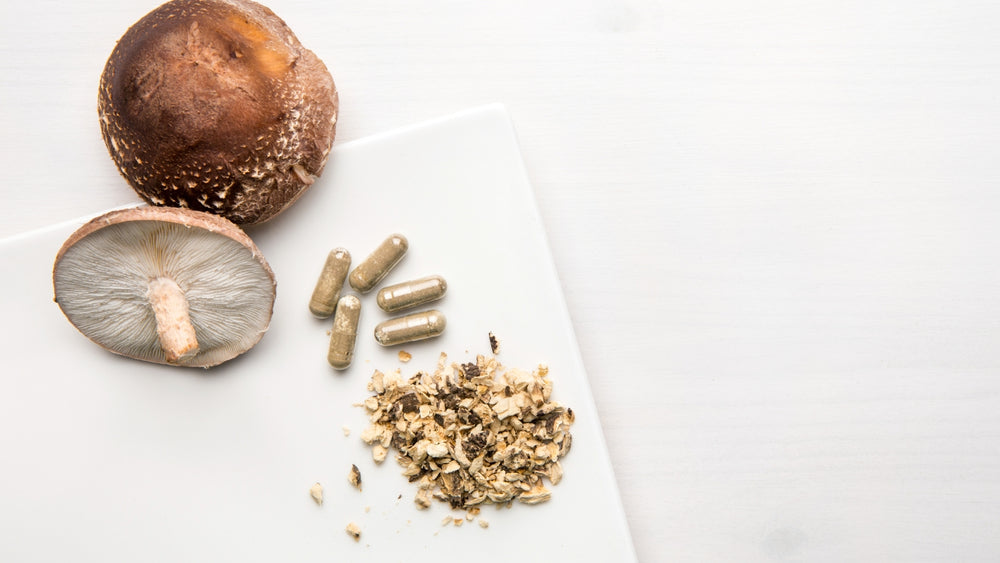 What Are Mushroom Supplements?